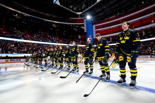 Players of Sweden
