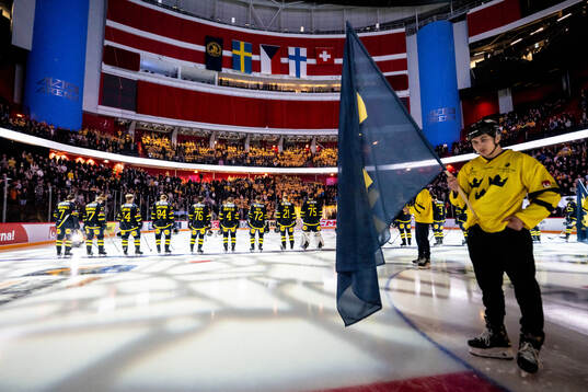 Players of Sweden