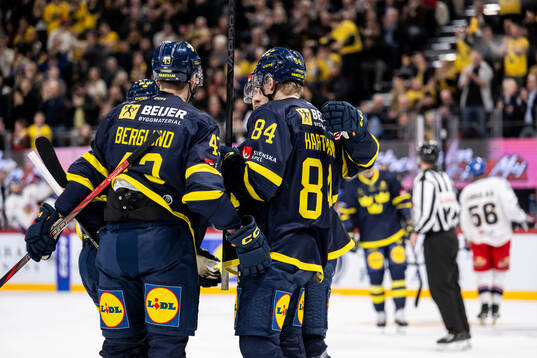 Sebastian Hartmann of Sweden celebrate with team mates