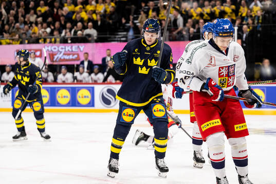 Sebastian Hartmann of Sweden celebrates