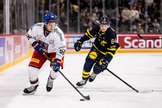 Tomas Cibulka of Czech Republic and Sebastian Hartmann of