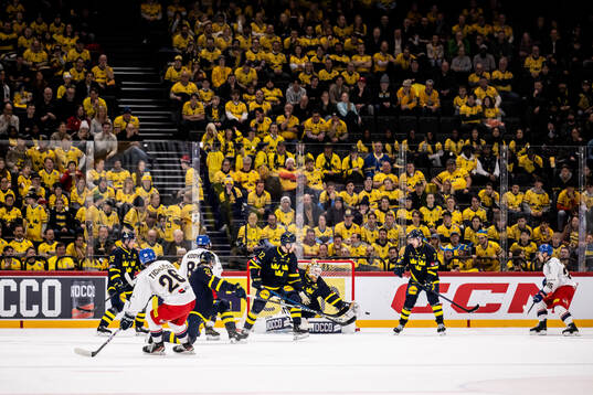 Goaltender Linus Söderström of Sweden