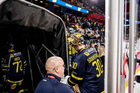 Goaltender Linus Söderström of Sweden