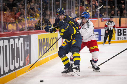 Simon Ryfors of Sweden and Petr Kodytek of Czech Republic