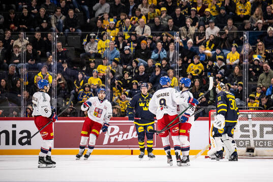 Jakub Zboril of Czech Republic celebrate with teammates
