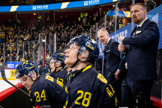 Head coach Magnus Hävelid of Sweden