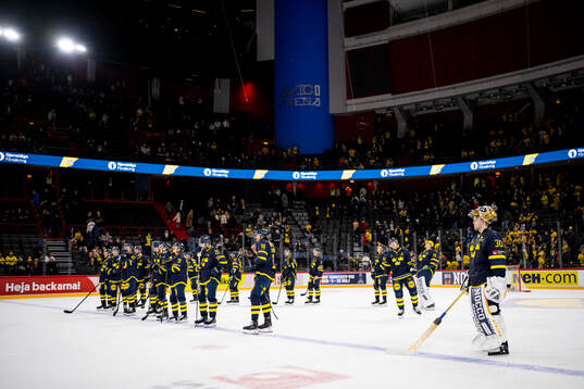 Goaltender Linus Söderström of Sweden looks dejected