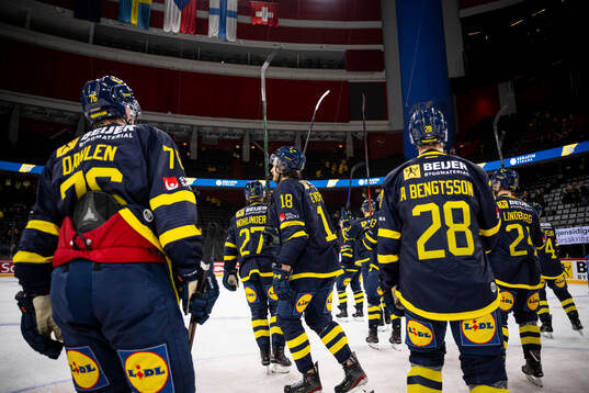 Players of Sweden