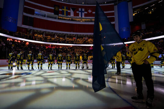 Players of Sweden