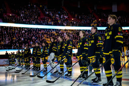 Players of Sweden