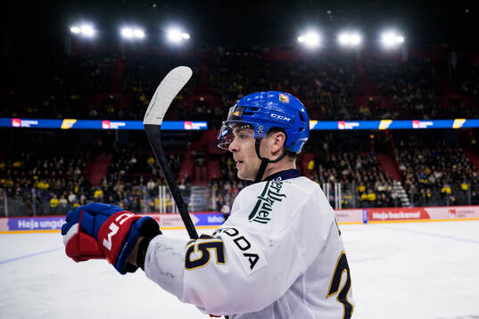 Radan Lenc of Czech Republic celebrates his 1-3 goal