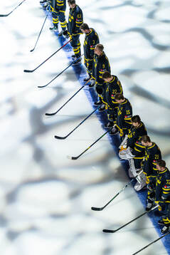 The players of Sweden
