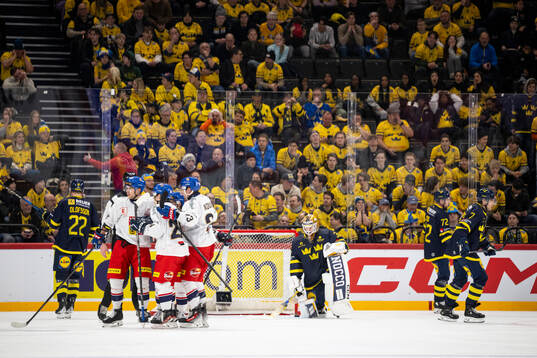 Goaltender Linus Söderström of Sweden looks dejected