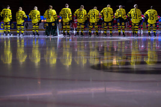 Players of Sweden