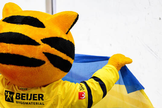 A mascot