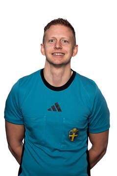Domare Niklas Nyberg