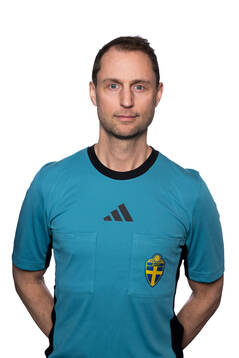 Domare Mikael Hallin