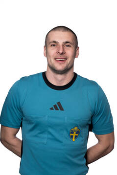 Domare Mirza Rovcanin