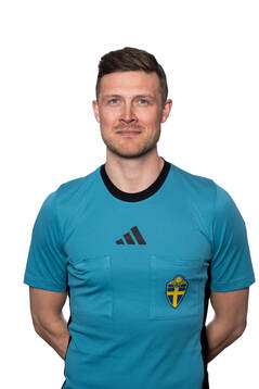 Domare Erik Mattson