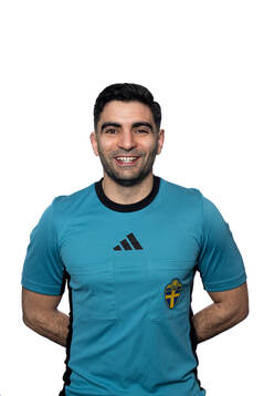 Domare George Jansizian