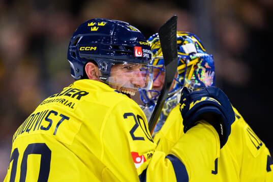 Joel Lundqvist and goaltender Henrik Lundqvist celebrate