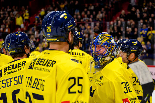 Players of Tre Kronor Legends celebrate with goaltender