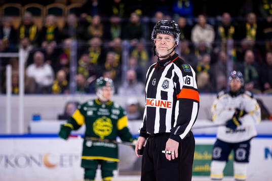 Huvuddomare Mikael Nord