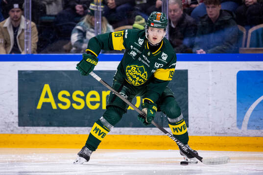 Björklövens Liam Dower Nilsson