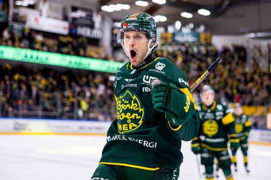 Björklövens Fredrik Forsberg jublar