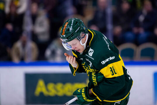 Björklövens Daniel Viksten