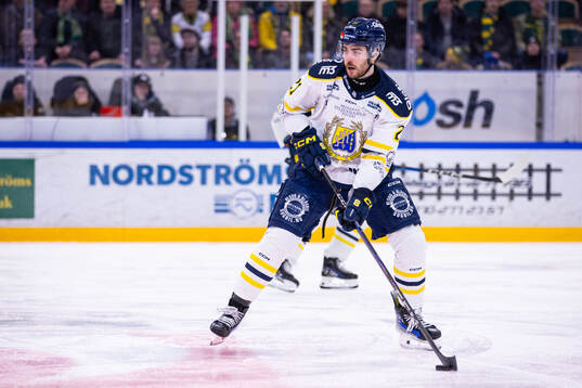 Södertäljes Nolan Stevens