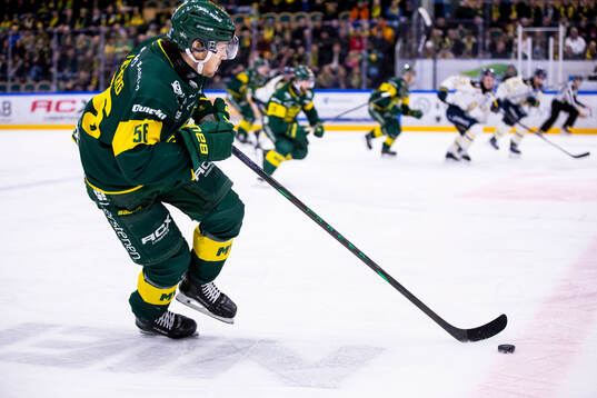Björklövens Fredrik Forsberg