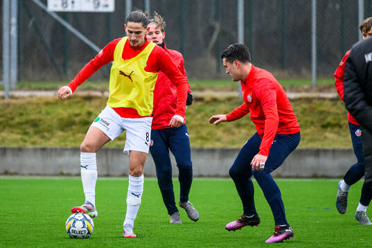 Helsingborgs Ervin Gigovic