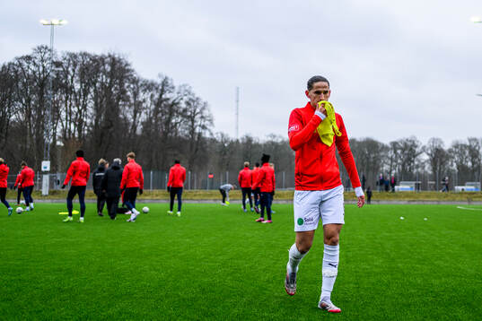 Helsingborgs Ervin Gigovic