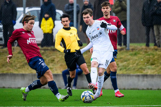 Helsingborgs Max Svensson