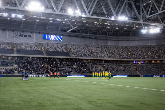 Djurgårdens och Ilves spelare