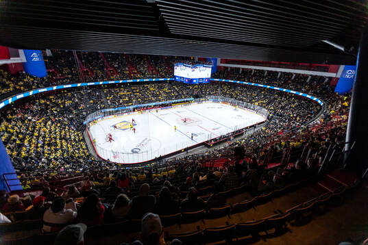 General view of Avicii Arena