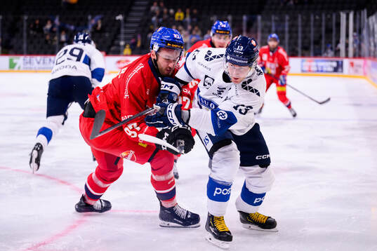 Radim Zohorna of Czech Republic and Mikael Ruohomaa of