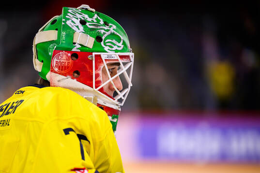 Goalkeeper Arvid Holm of Sweden
