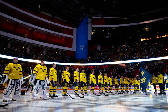 Players of Sweden