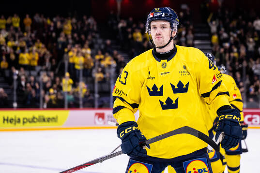 Filip Berglund of Sweden celebrates