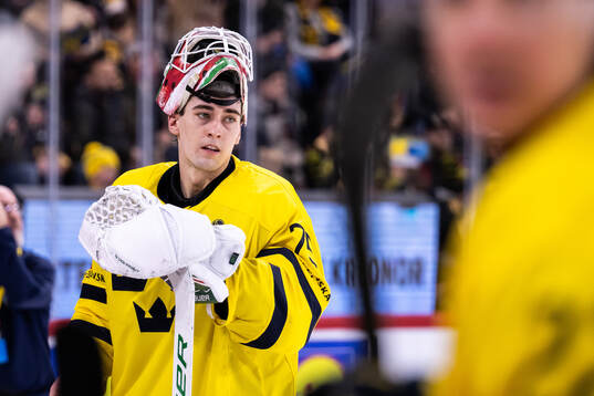 Goalkeeper Arvid Holm of Sweden