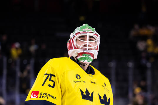 Goalkeeper Arvid Holm of Sweden looks dejected