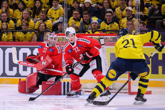 Goaltender Kevin Pasche and Dominik Egli of Switzerland