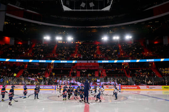 Kids play ice hockey