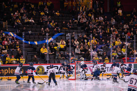 Kids play ice hockey