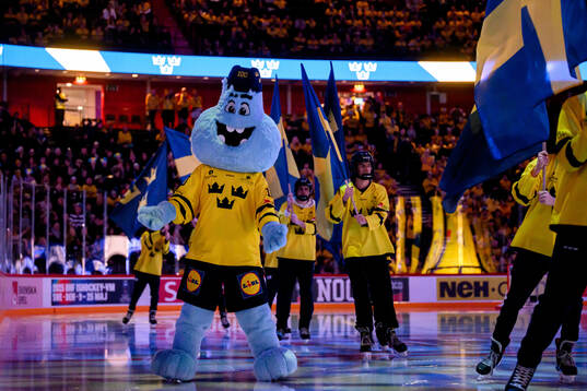 Puckey the Mascot