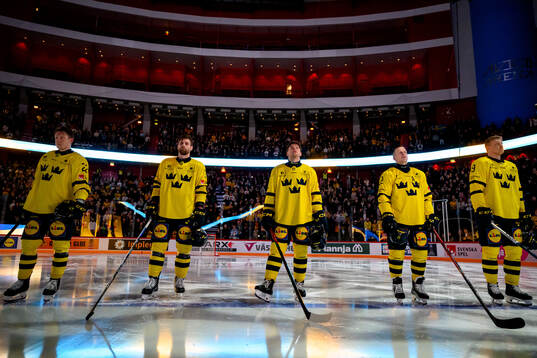 Players of Sweden