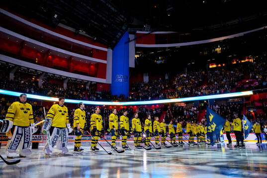 Players of Sweden