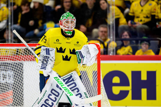 Goalkeeper Arvid Holm of Sweden